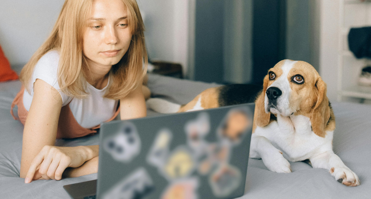 Cấu trúc As Soon As trong tiếng Anh: công thức, cách dùng và bài tập ví dụ