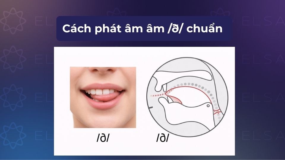 Khẩu hình miệng và vị trí đặt lưỡi khi phát âm /ð/