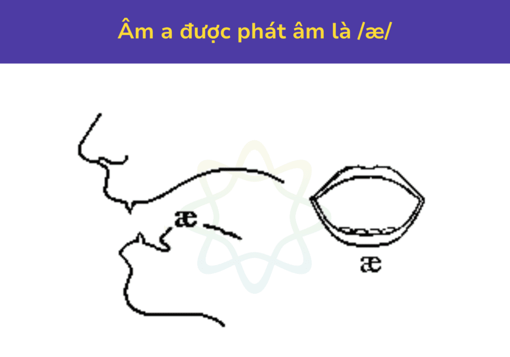 Cách phát âm a được phát âm là /æ/