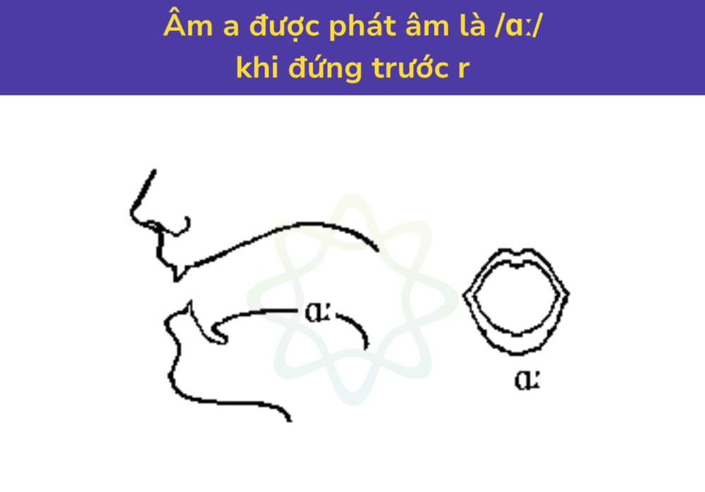 Âm a được phát âm là /ɑː/ khi đứng trước r