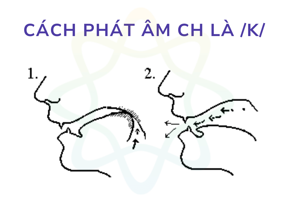 3 Cách phát âm CH là /ʃ/, /k/, /tʃ/