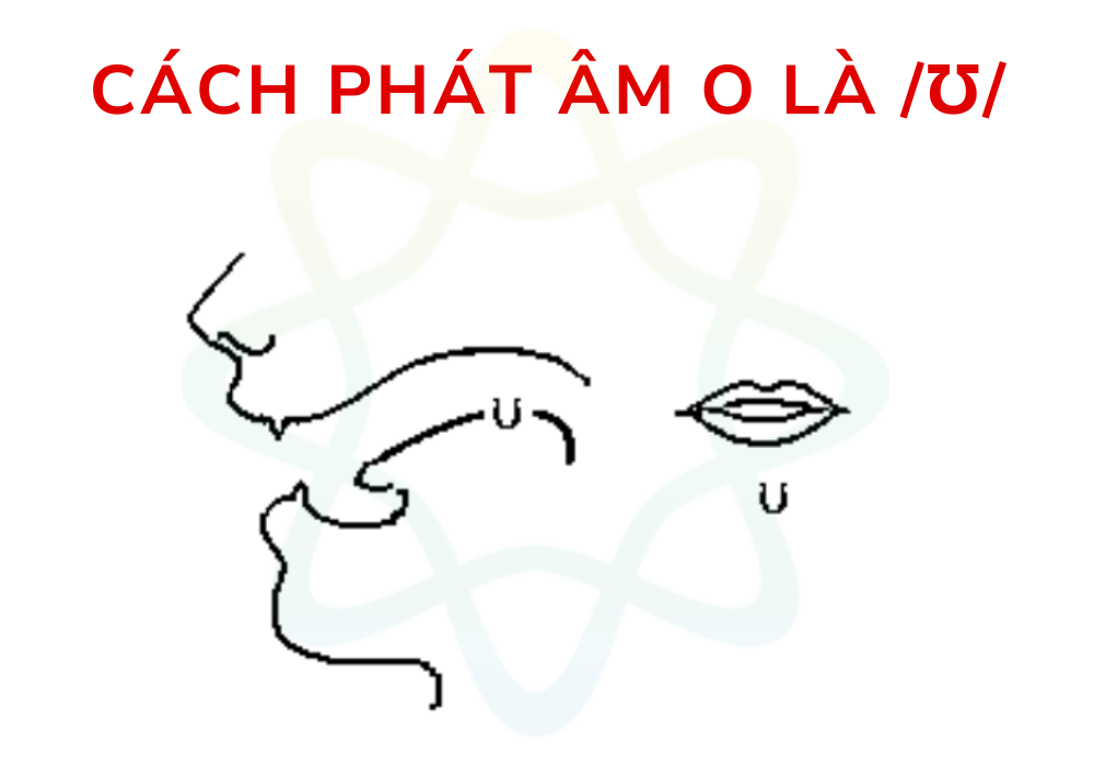 Chữ O phát âm là /ʊ/ khi đứng trước m, ok, ot, ould