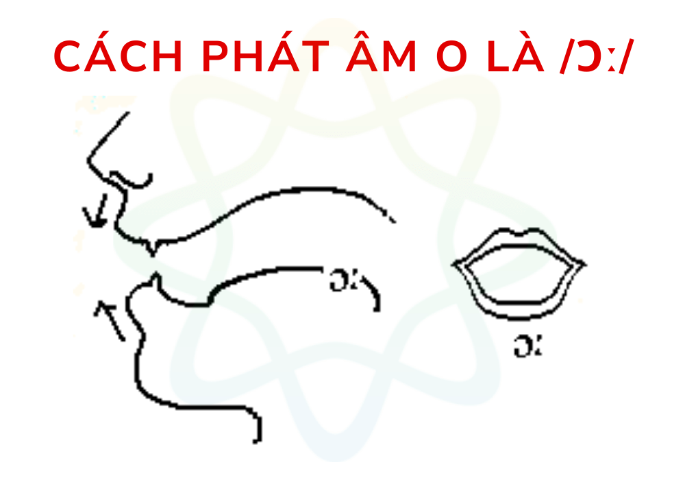 Chữ O phát âm là /ɔː/ khi đứng trước chữ r