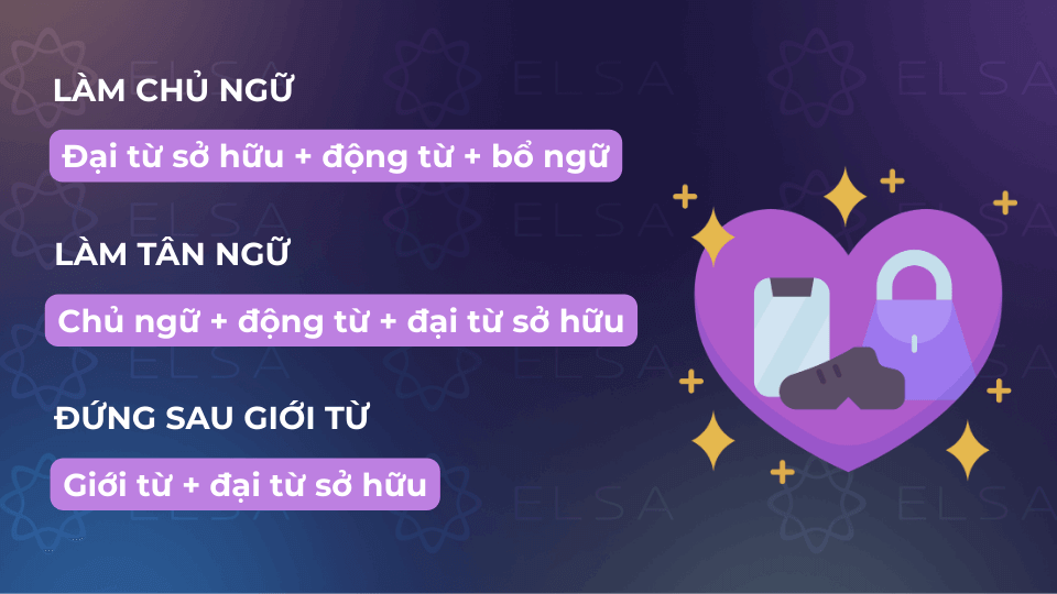 Vị trí của đại từ sở hữu trong câu Vị trí của đại từ sở hữu trong câu