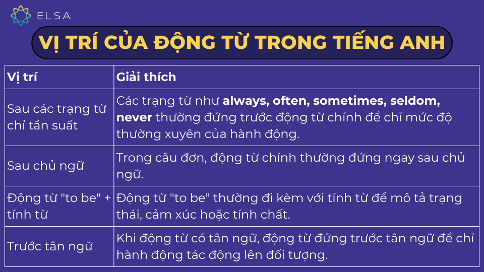 Các vị trí của động từ Các vị trí của động từ