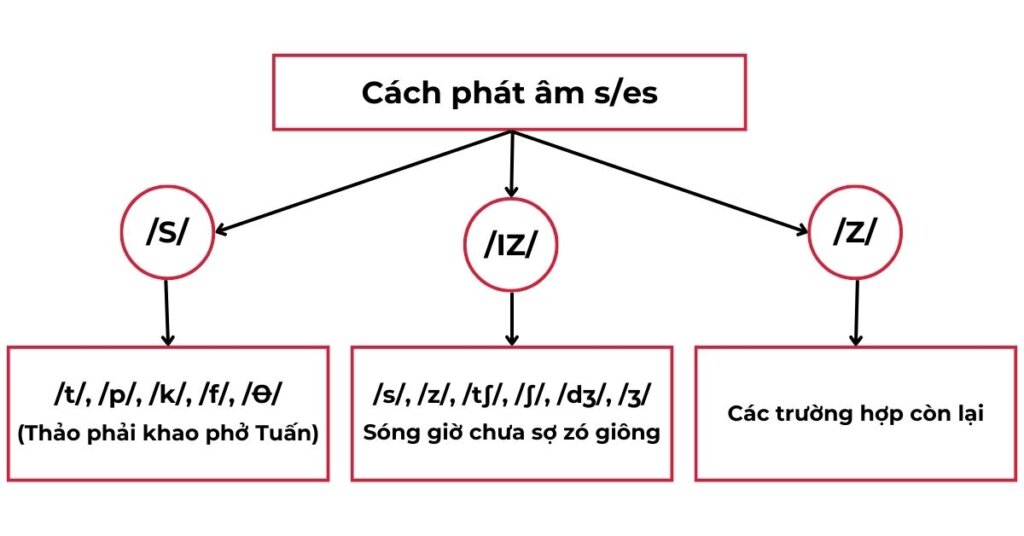 Cách phát âm s es chuẩn trong tiếng Anh