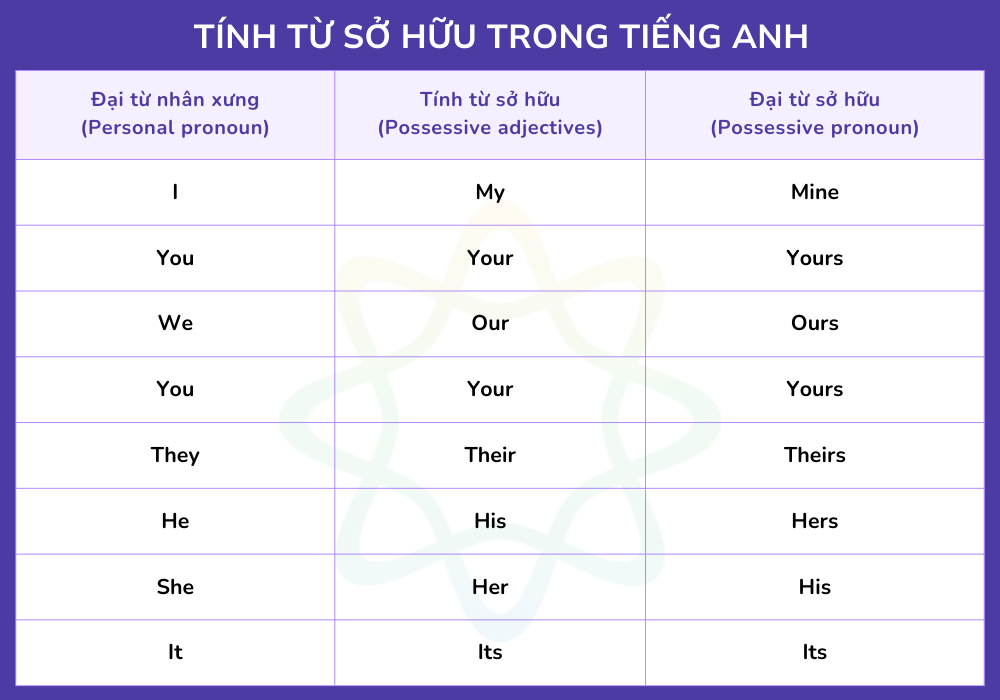 Tính từ sở hữu trong tiếng Anh (Possessive adjectives)