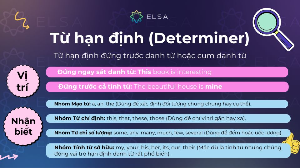 Vị trí Từ hạn định (Determiner) trong câu tiếng Anh