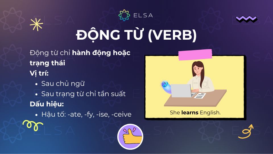 Động từ (Verb)