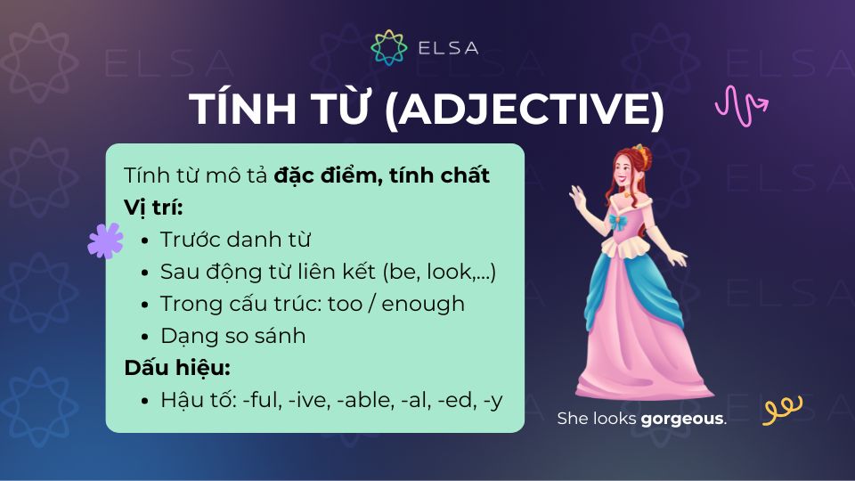 Tính từ (Adjective)