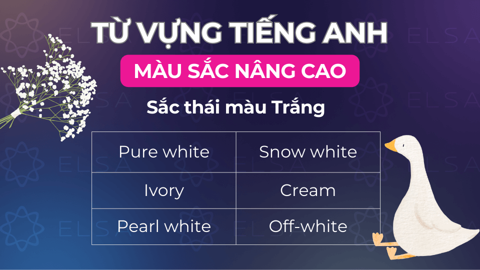 Các từ vựng về sắc thái trắng trong tiếng Anh