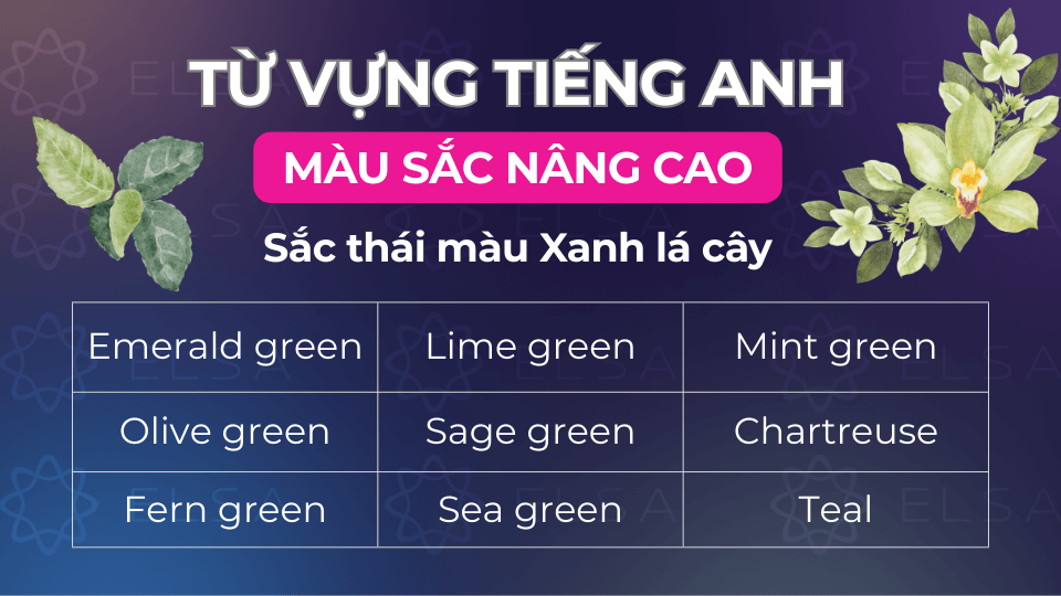 Các từ vựng về sắc thái xanh lá cây trong tiếng Anh