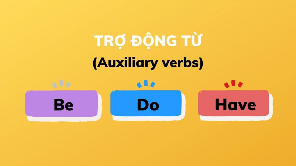 Các trợ động từ chính trong tiếng Anh