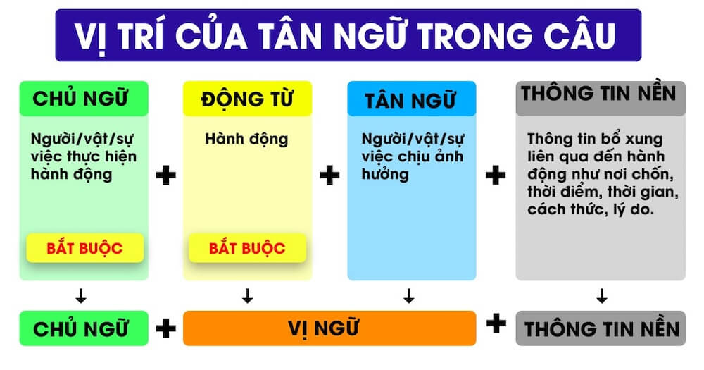 Vị trí của tân ngữ trong câu