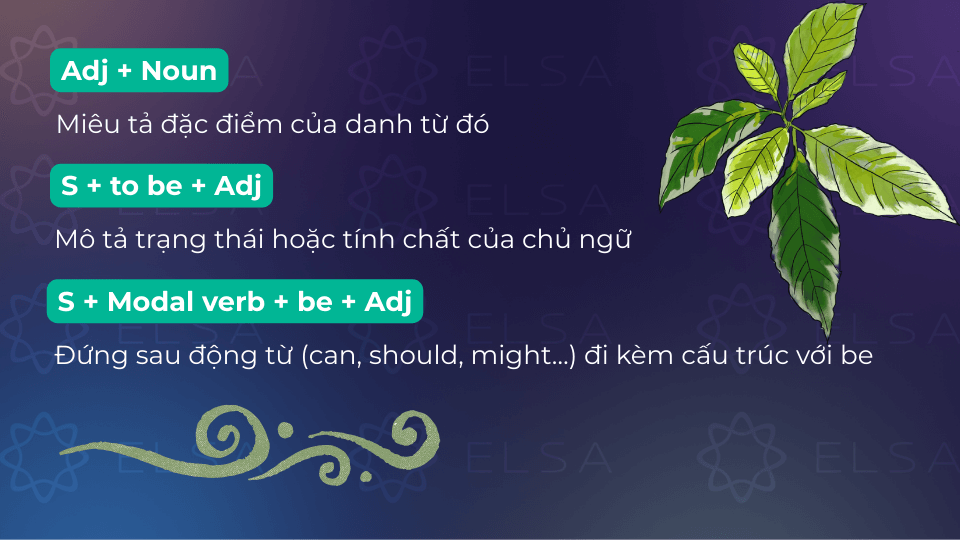 Cấu trúc tính từ trước danh từ, sau to be, sau động từ tình thái