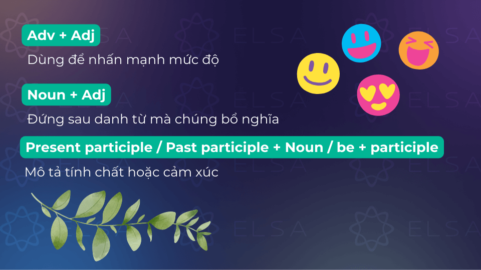 Cấu trúc tính từ đứng sau trạng từ, sau danh từ và phân từ như tính từ