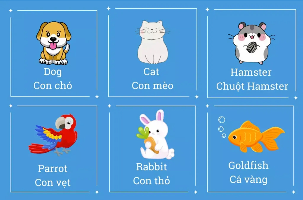 Từ vựng các con vật bằng tiếng Anh phổ biến nhất