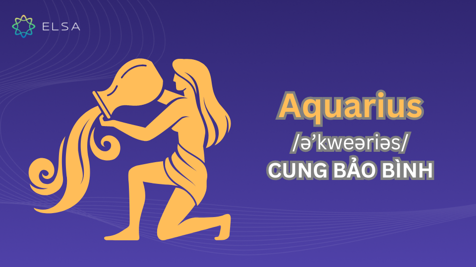 Aquarius – cung Bảo Bình Aquarius – cung Bảo Bình