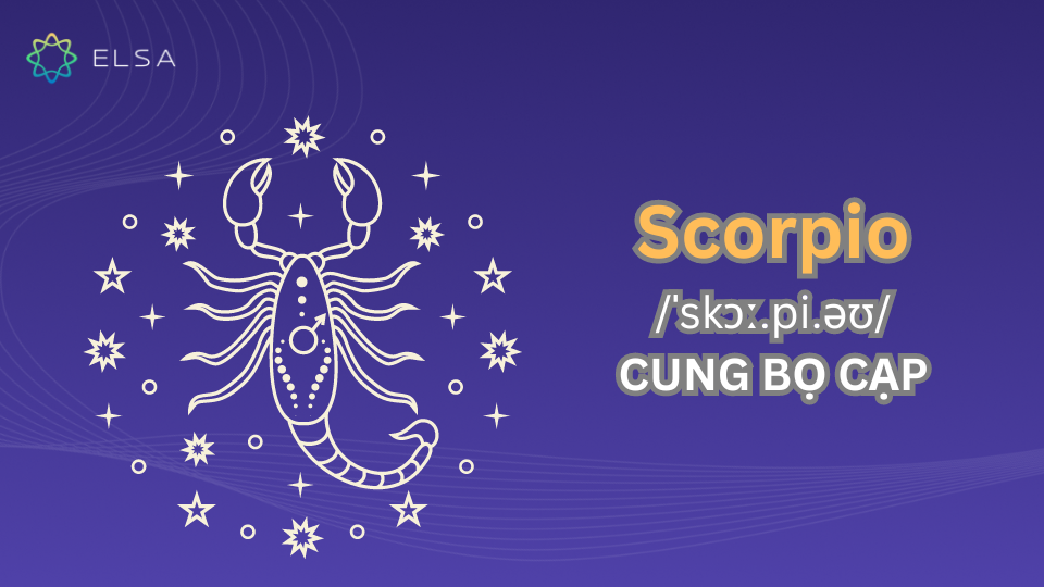 Scorpio – cung Bọ Cạp Scorpio – cung Bọ Cạp
