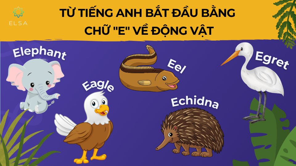 Từ tiếng anh bắt đầu bằng chữ “E" về động vật