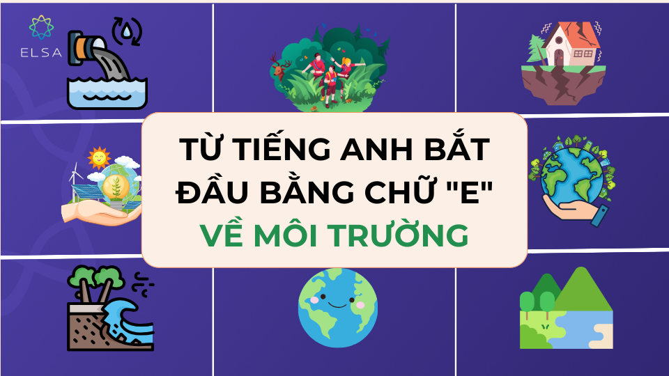 Từ tiếng anh bắt đầu bằng chữ “E" về môi trường