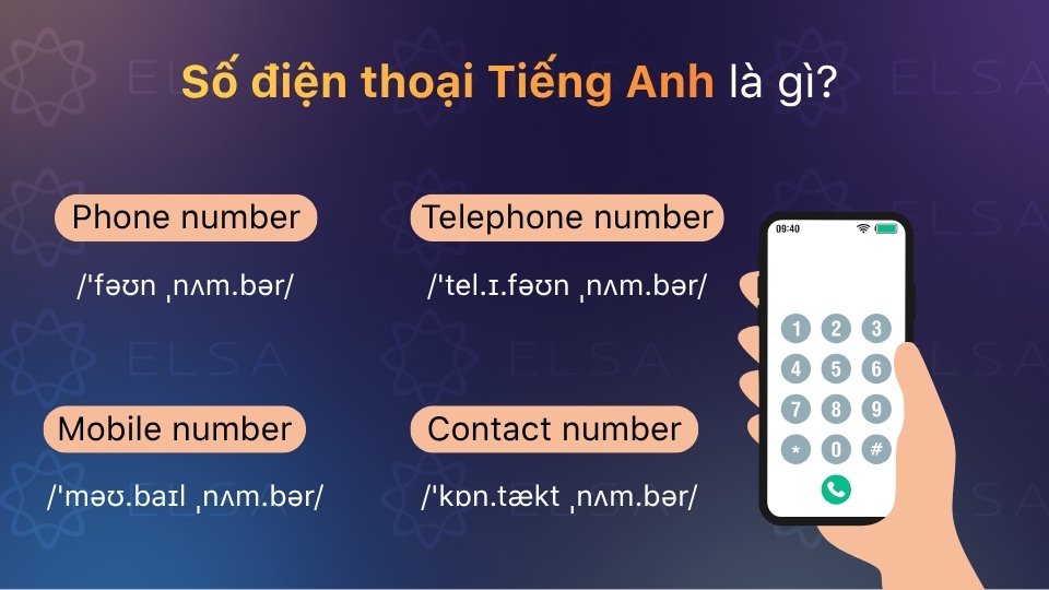 Số điện thoại tiếng Anh là phone number, ngoài ra còn có telephone number Số điện thoại tiếng Anh là phone number, ngoài ra còn có telephone number
