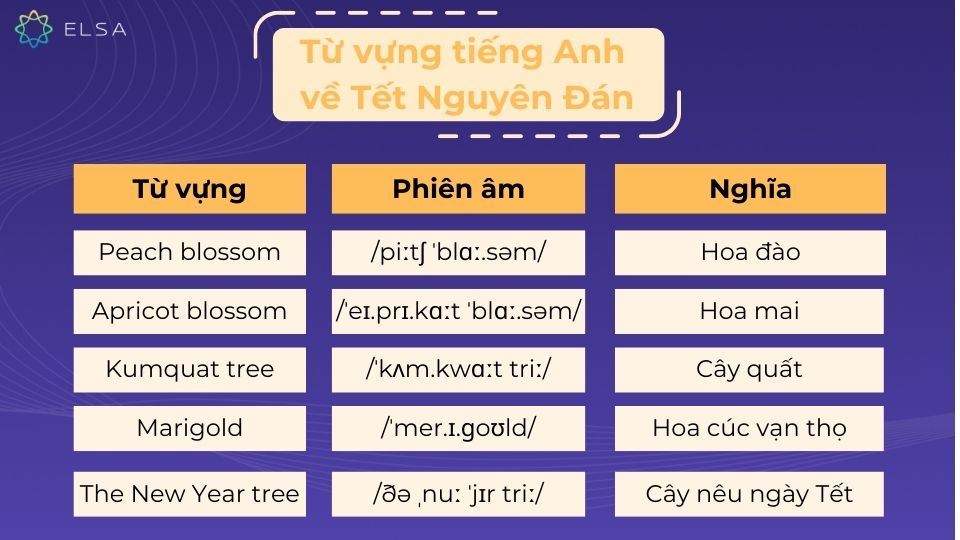 Từ vựng tiếng Anh về Tết Nguyên Đán Từ vựng tiếng Anh về Tết Nguyên Đán