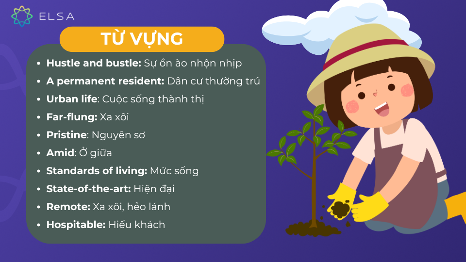 Từ vựng thường gặp