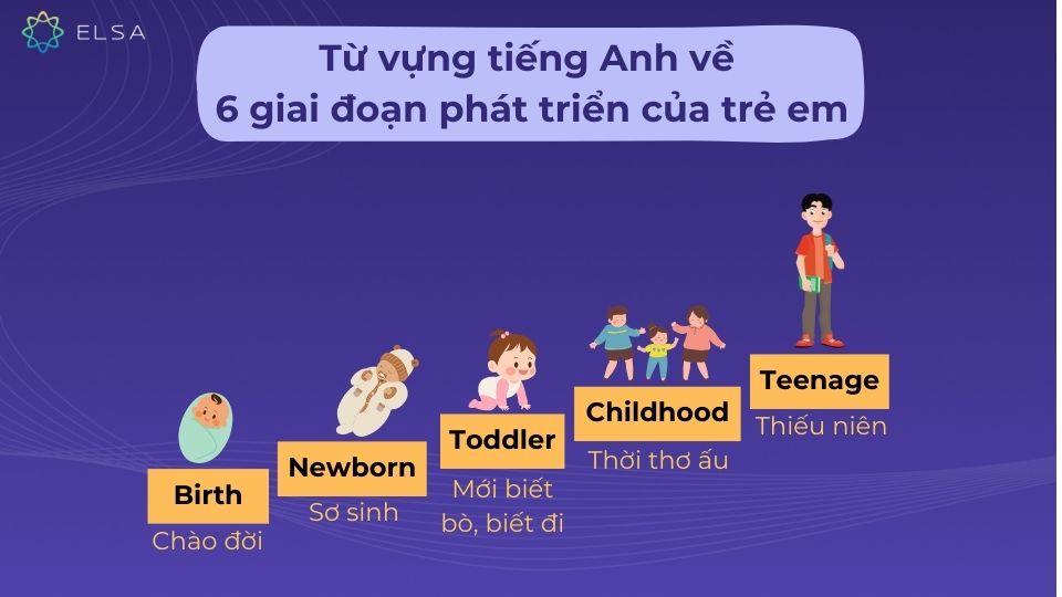 Từ vựng tiếng Anh chỉ 6 giai đoạn phát triển của trẻ em Từ vựng tiếng Anh chỉ 6 giai đoạn phát triển của trẻ em