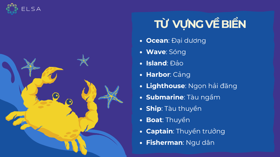 Từ vựng tiếng Anh thông dụng Oxford về chủ đề biển
