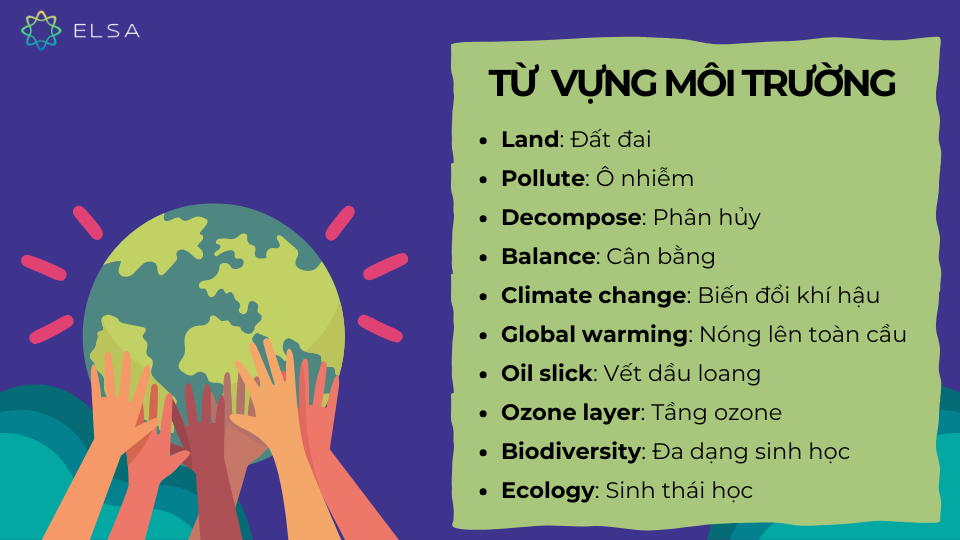 Từ vựng tiếng Anh thông dụng Oxford về môi trường