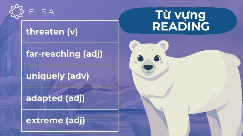 Một số từ vựng trong đoạn 1 bài Why We Need to Protect Polar Bears Một số từ vựng trong đoạn 1 bài Why We Need to Protect Polar Bears