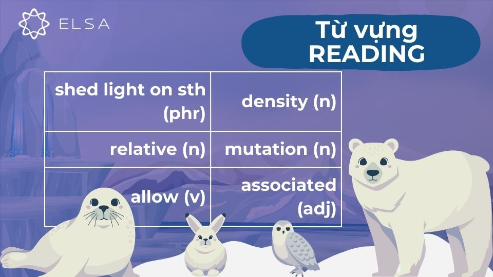 Một số từ vựng đoạn 2 trong bài Why We Need to Protect Polar Bears Một số từ vựng đoạn 2 trong bài Why We Need to Protect Polar Bears