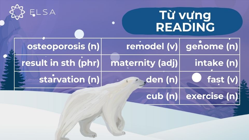Một số từ vựng đoạn 3 bài Reading Why We Need to Protect Polar Bears Một số từ vựng đoạn 3 bài Reading Why We Need to Protect Polar Bears