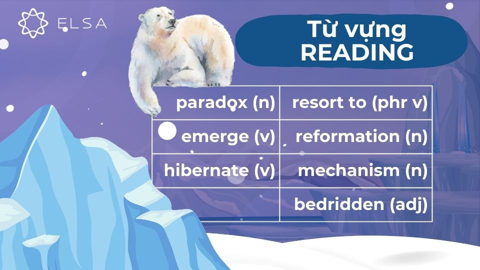 Một số từ vựng đoạn 4 bài Reading Why We Need to Protect Polar Bears Một số từ vựng đoạn 4 bài Reading Why We Need to Protect Polar Bears