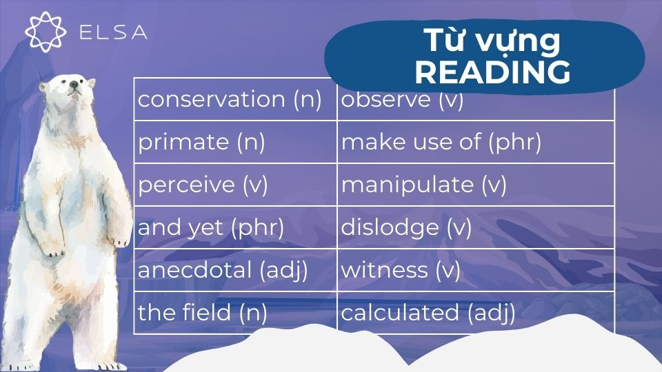 Một số từ vựng đoạn 5 bài Why We Need to Protect Polar Bears Một số từ vựng đoạn 5 bài Why We Need to Protect Polar Bears