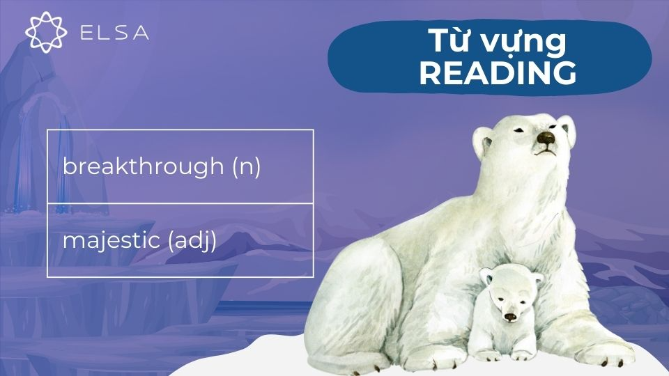 Một số từ vựng đoạn cuối bài Why We Need to Protect Polar Bears Một số từ vựng đoạn cuối bài Why We Need to Protect Polar Bears