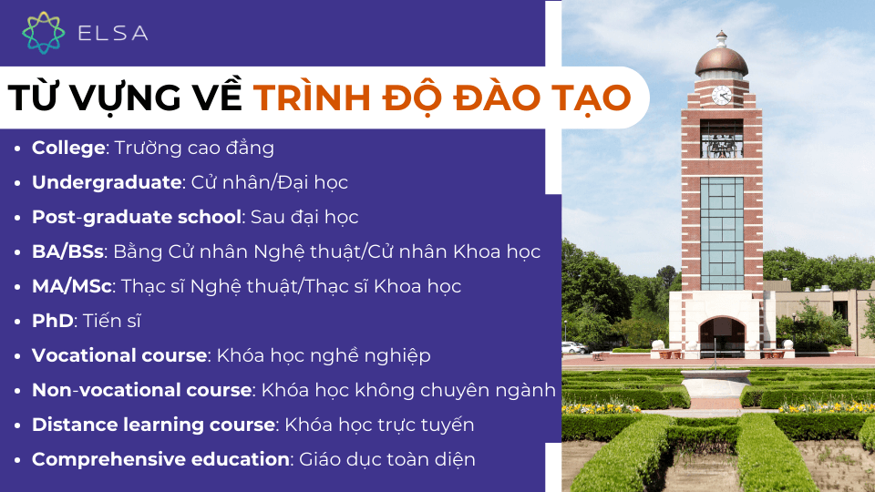 Từ vựng về trình độ đào tạo
