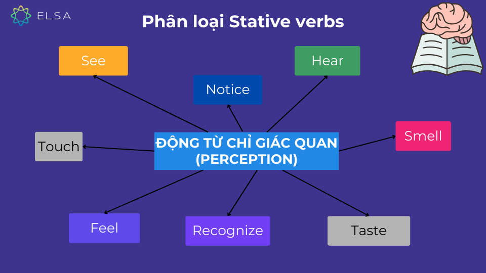 Nhóm động từ chỉ giác quan (Perception) dùng để diễn tả giác quan của một hoặc nhiều người Nhóm động từ chỉ giác quan (Perception) dùng để diễn tả giác quan của một hoặc nhiều người