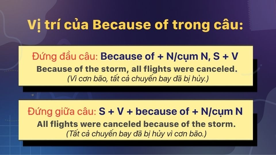 Hai vị trí của Because of trong câu Hai vị trí của Because of trong câu