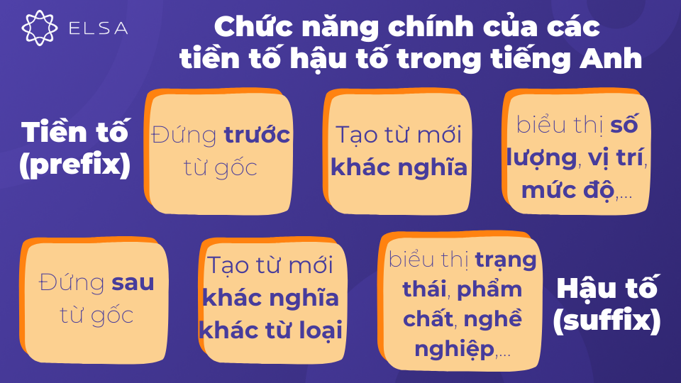 Hiểu rõ chức năng của tiền tố hậu tố giúp bạn dễ dàng đoán nghĩa của từ mới hơn