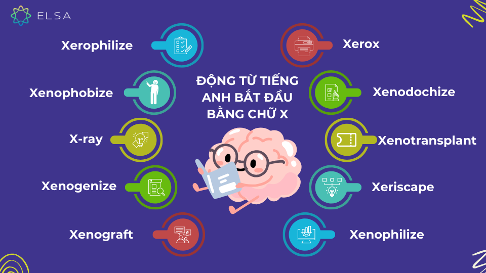 Các động từ tiếng Anh bắt đầu bằng chữ X Các động từ tiếng Anh bắt đầu bằng chữ X