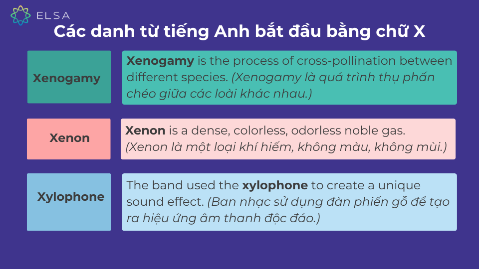 Các danh từ tiếng Anh bắt đầu bằng chữ X Các danh từ tiếng Anh bắt đầu bằng chữ X