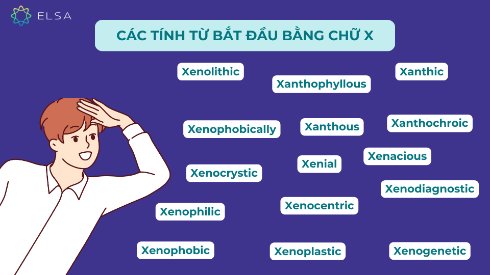 Các tính từ tiếng Anh bắt đầu bằng chữ X Các tính từ tiếng Anh bắt đầu bằng chữ X