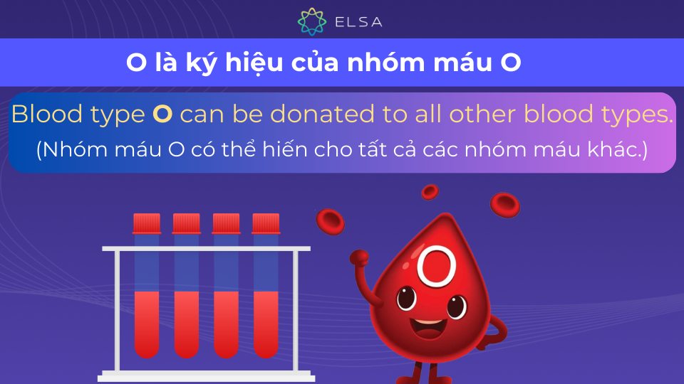 O đại diện cho nhóm máu O O đại diện cho nhóm máu O