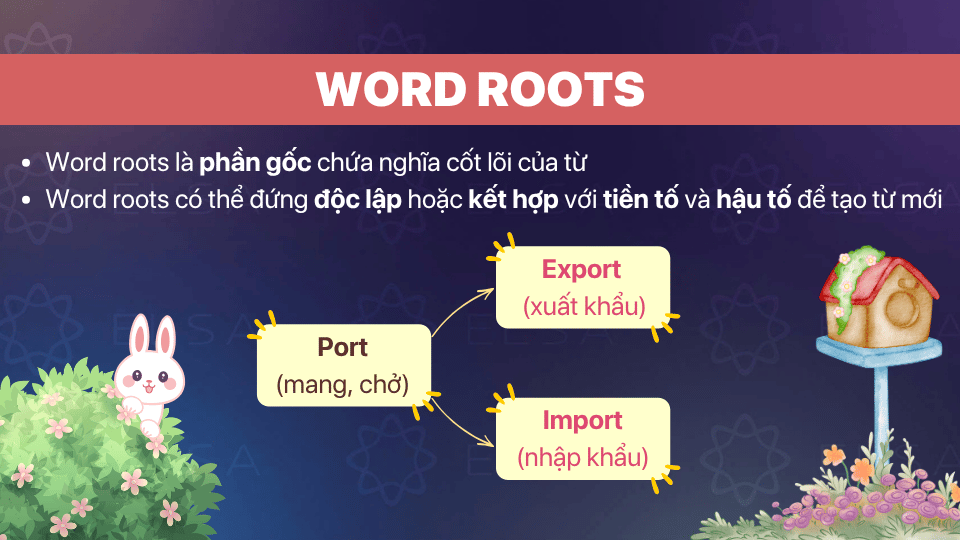 Word roots là phần gốc chứa nghĩa cốt lõi của từ