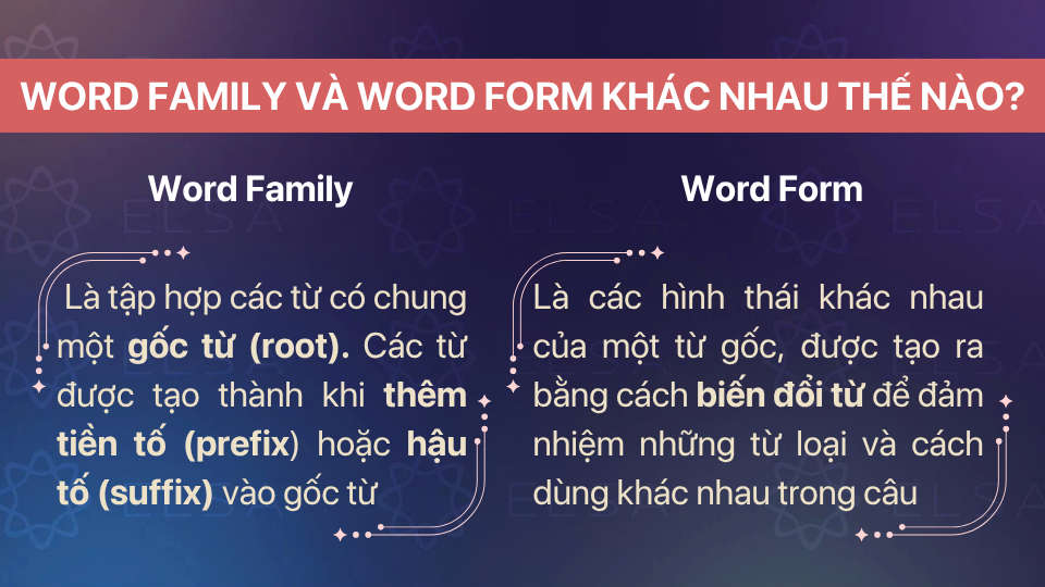 Word Family và Word Form khác nhau thế nào?
