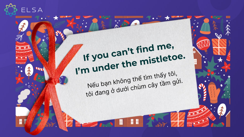 Caption Giáng sinh tiếng Anh hài hước Caption Giáng sinh tiếng Anh hài hước