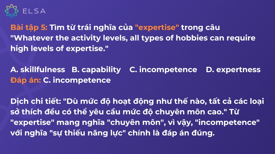 Bài tập sử dụng cấu trúc whatever
