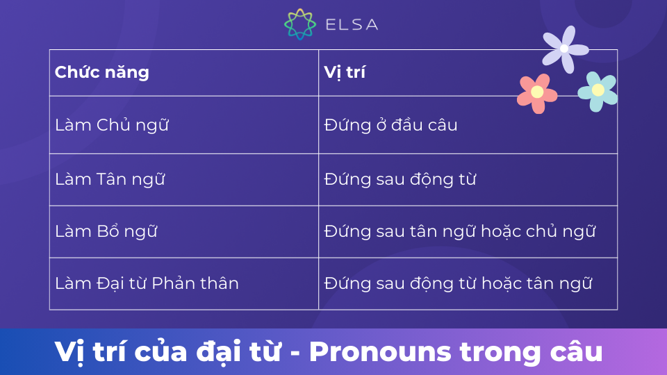 Vị trí của đại từ trong câu Vị trí của đại từ trong câu